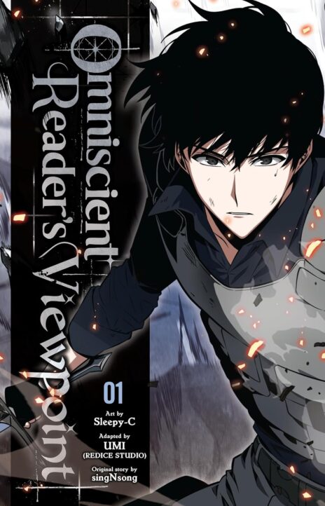 Ponto de Vista do Leitor Onisciente PT Cover Image