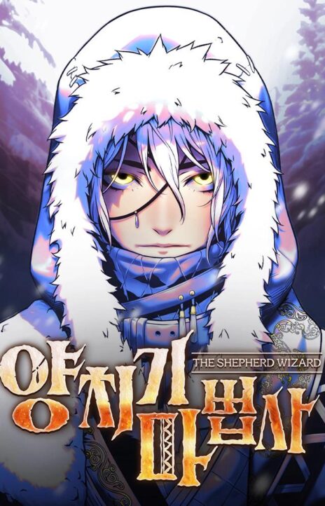 Shepherd Wizard FR Cover Image